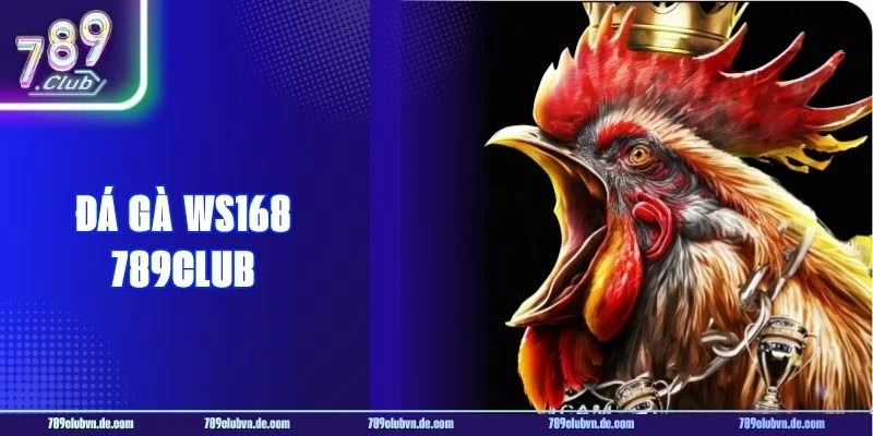 Đá Gà WS168 789CLUB: Live Bắt Kèo Cực Đỉnh, Cược Là Thắng